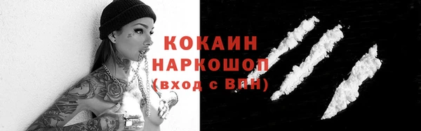 СК Новозыбков