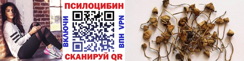 Псилоцибиновые грибы GOLDEN TEACHER  где найти   кракен сайт  Отрадное 