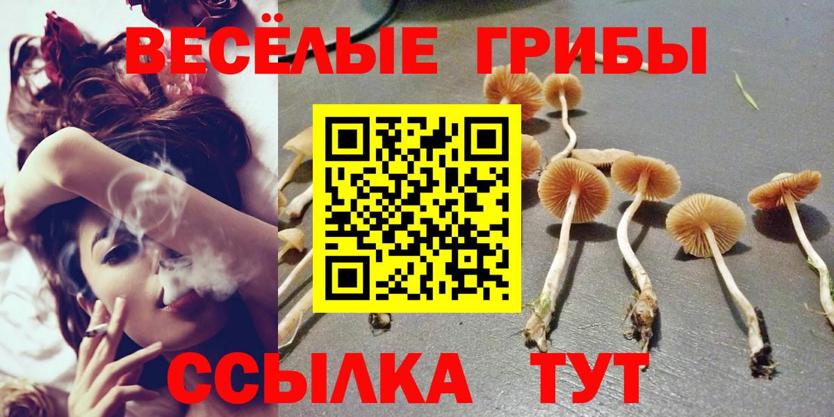 Псилоцибиновые грибы мухоморы  Вход с VPN  Отрадное 