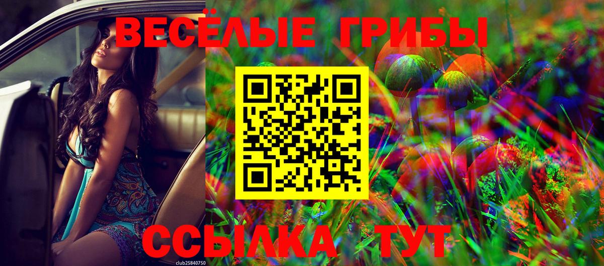 Псилоцибиновые грибы GOLDEN TEACHER Отрадное